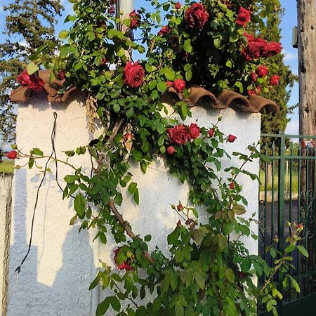 Vila Πετρινη Κατοικια Στην Φυση Tagarades Exteriér fotografie