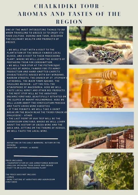 Vila Πετρινη Κατοικια Στην Φυση Tagarades Exteriér fotografie