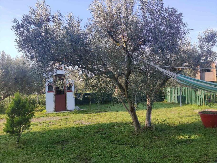 Vila Πετρινη Κατοικια Στην Φυση Tagarades Exteriér fotografie
