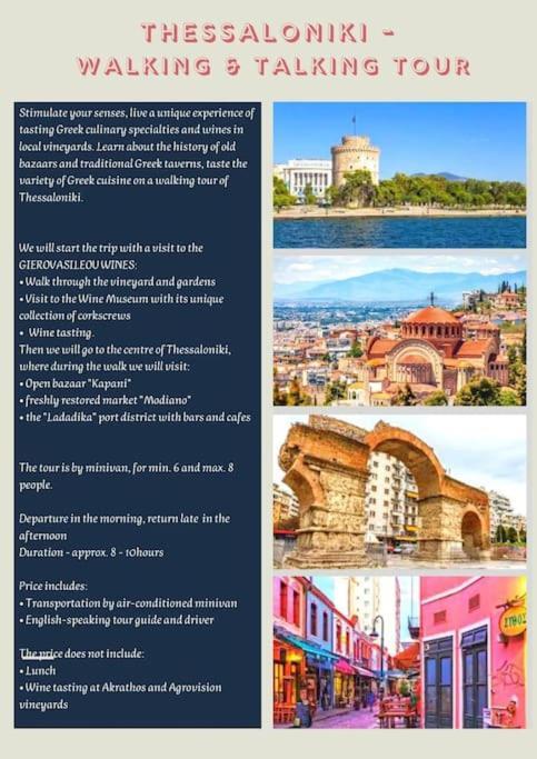 Vila Πετρινη Κατοικια Στην Φυση Tagarades Exteriér fotografie
